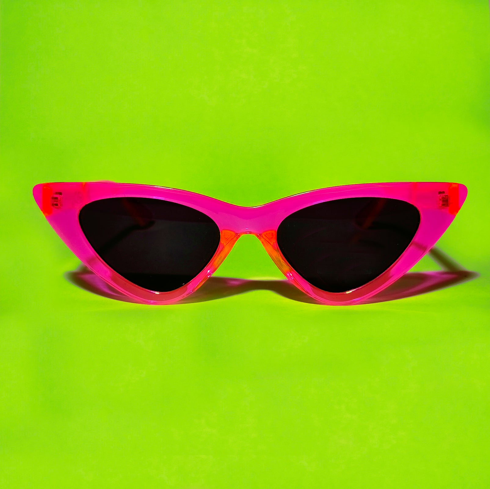 PUNK SUNNIES Nº5